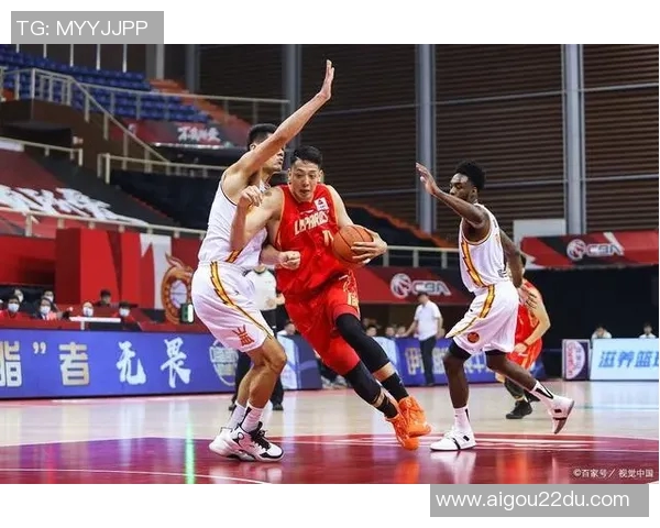 深圳共有几支CBA球队？球队分布与实力对比