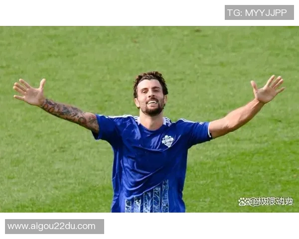 老子意甲球队:在意甲历史上具有重要地位的俱乐部 老子意甲球队:在意甲历史上具有重要地位的俱乐部